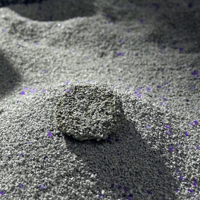 Memilih Sampah Kucing Mineral Terbaik: Petua Praktikal untuk Rumah yang Lebih Bersih